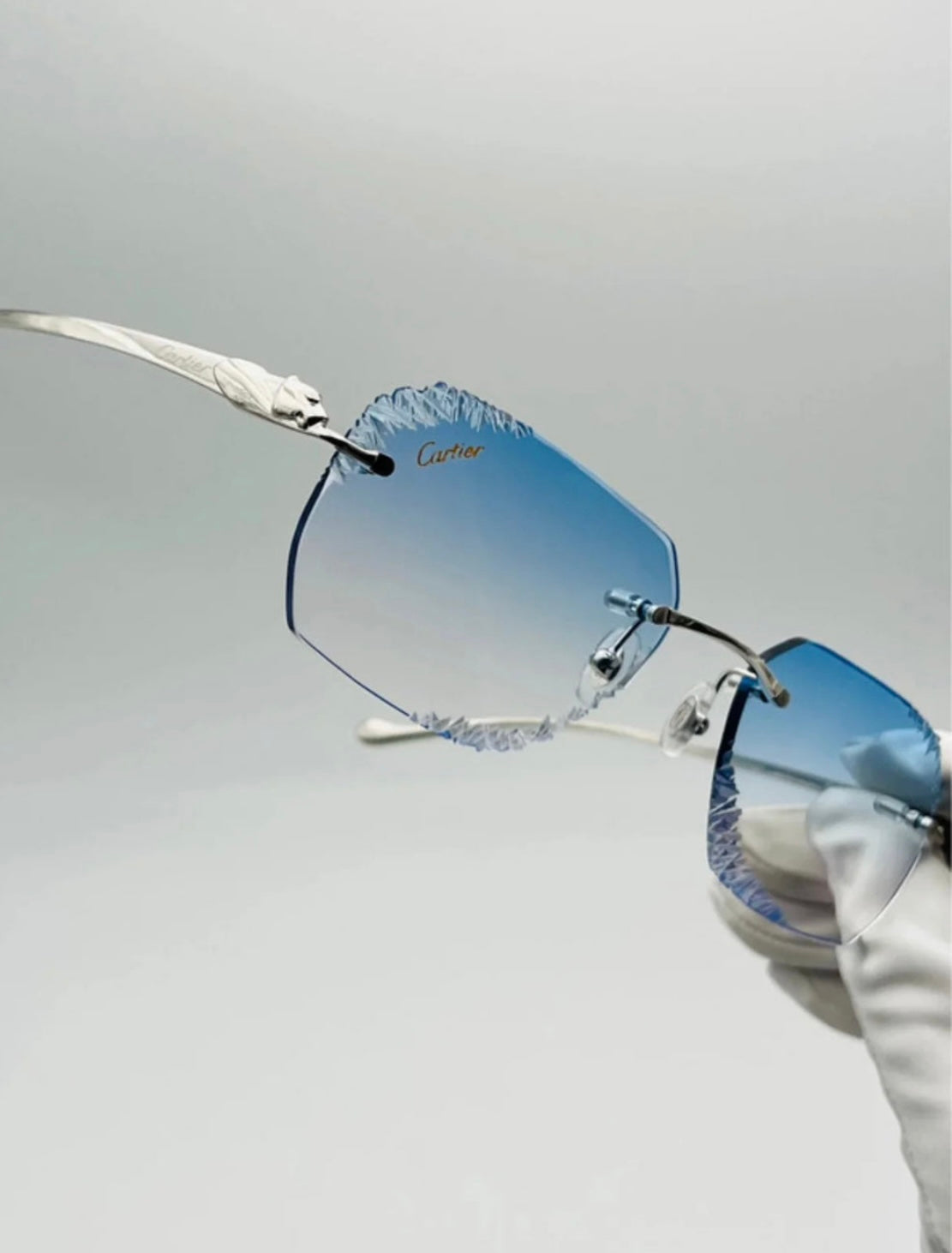 VISIONNAIRE | NICE