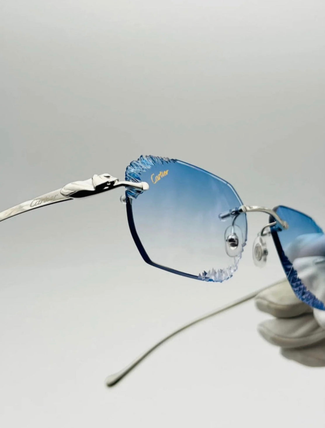 VISIONNAIRE | NICE