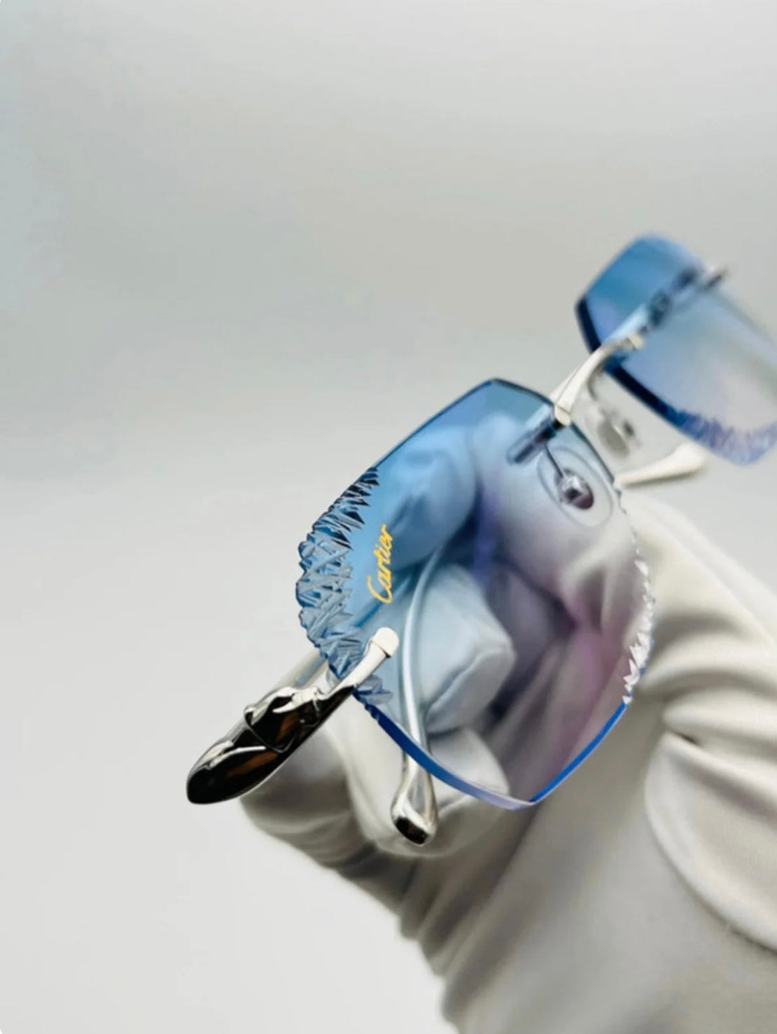 VISIONNAIRE | NICE