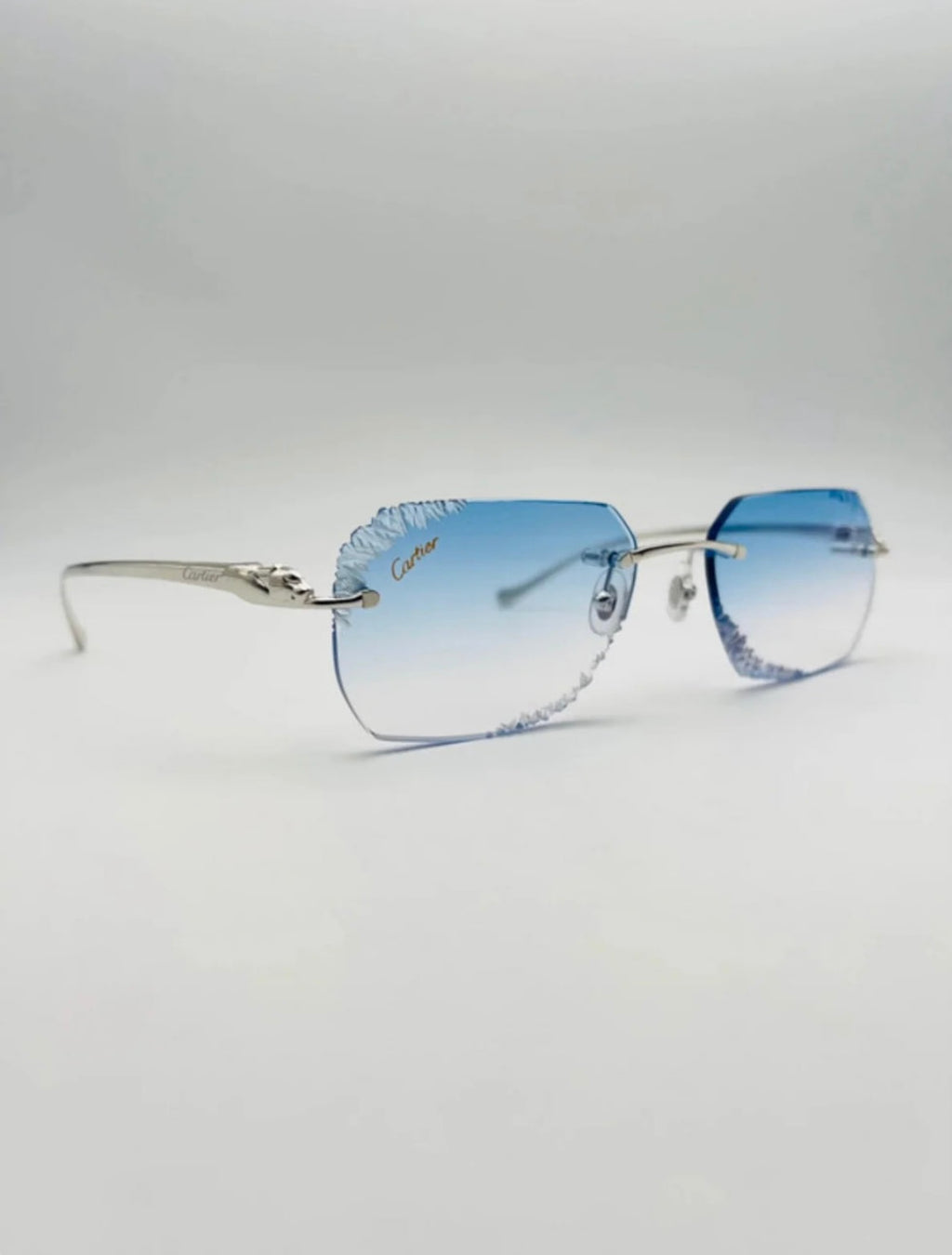 VISIONNAIRE | NICE